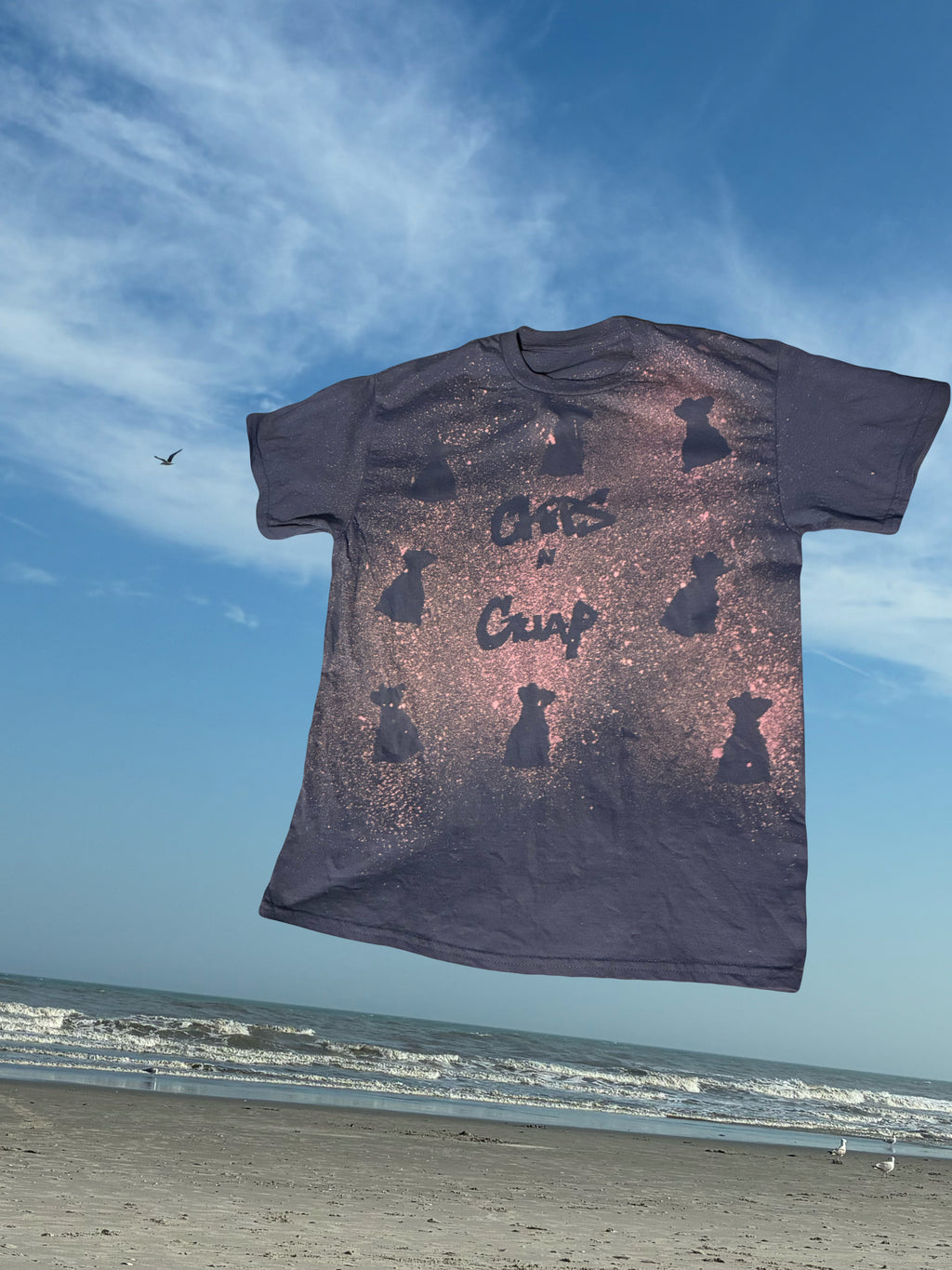 Chip$ N Guap “Money Bag”