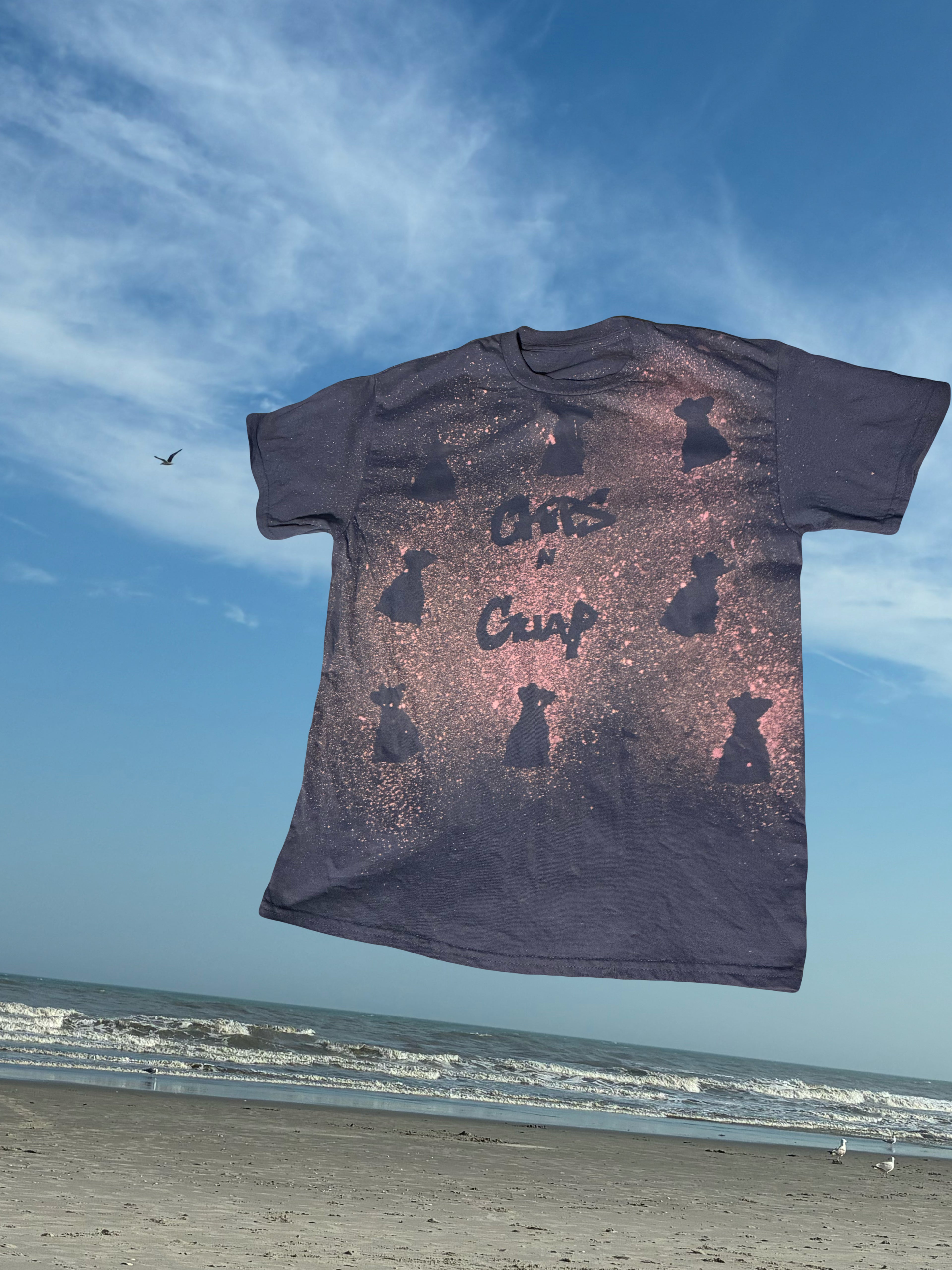 Chip$ N Guap “Money Bag”